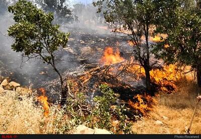 آتش‌سوزی مراتع حاشیه پارک ملی لار به دلیل بی‌احتیاطی گردشگران رخ داد