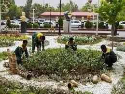 حقوق کافی و مزایای مزدی از کارگران فضای سبز دریغ می‌شود