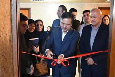 راه‌اندازی شبکه «ایران یاران جوان» برای تقویت مشارکت جوانان در گلستان