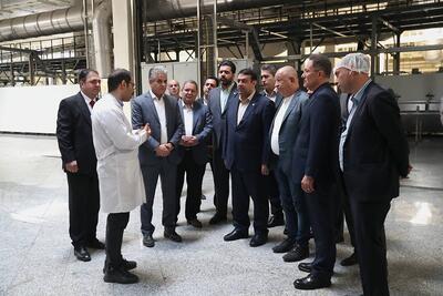 چتر حمایت بانک ملی ایران گسترده‌تر شد؛ امضا تفاهم‌نامه همکاری بین بانک و شرکت کاله