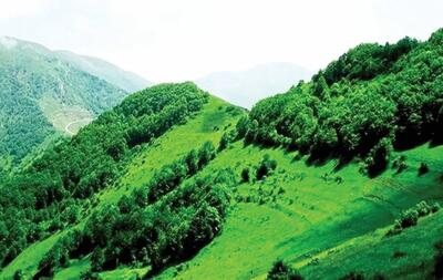 چابک‌سازی؛ نسخه‌ای برای فرار از مسئولیت‌ها