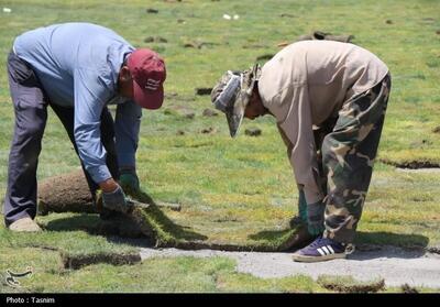 چمن ورزشگاه تختی شاهرود خشک شد - تسنیم