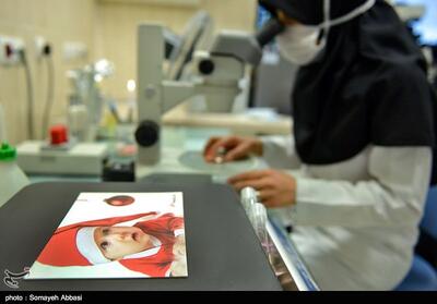 ناباروری حدود 20 درصد زوجین ایرانی/ارائه همه درمان‌های پیشرفته در داخل کشور - تسنیم