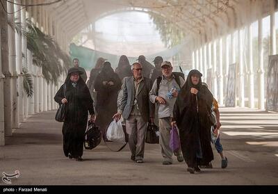 افزایش بازگشت زائران اربعین از مرز خسروی- فیلم فیلم استان تسنیم | Tasnim