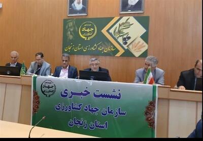 ارزش 34 میلیون دلاری صادرات محصولات تولیدی کشاورزی زنجان - تسنیم