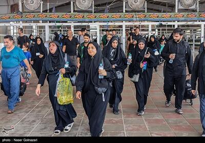 افزایش تردد زائران و بهبود خدمات در مرز مهران- فیلم فیلم استان تسنیم | Tasnim