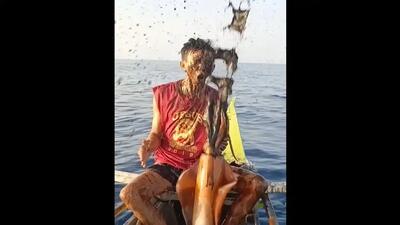 حمله ماهی مرکب غول‌پیکر به ماهیگیر و جوهرپاشی غافلگیرکننده (فیلم)