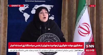 بار روانی مکانیسم ماشه از بار اقتصادی آن بیشتر است/خبرگان عواقب منفی لایحه «انتشار اخبار خلاف واقع در فضای مجازی» را گوشزد کردند