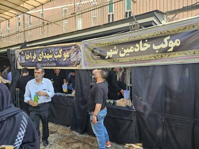 مأموریت؛ خدمت به زوار امام حسین(ع)