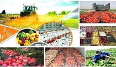 کدام خوراکی‌ها بیشترین و کمترین تورم را تجربه کردند؟
