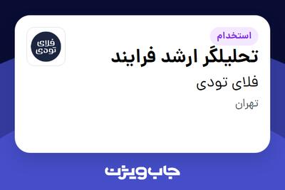 استخدام تحلیلگر ارشد فرایند در فلای تودی