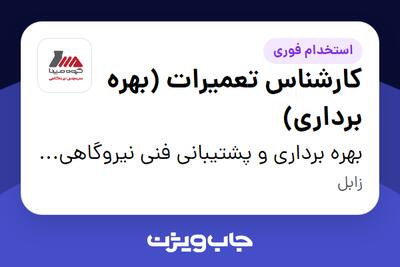 استخدام کارشناس تعمیرات (بهره برداری) - آقا در بهره برداری و پشتیبانی فنی نیروگاهی مپنا