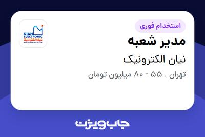 استخدام مدیر شعبه در نیان الکترونیک