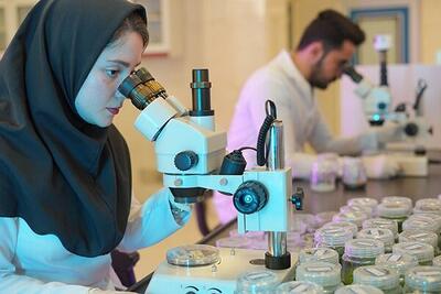 برنامه دانشگاه خواجه نصیر برای عدم مهاجرت و اشتغال دانشجویان