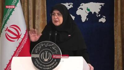 سخنگوی دولت: فعلاً تصمیمی برای افزایش قیمت بنزین نداریم + فیلم