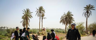 تصاویر/ طریق العلما