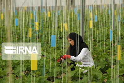 کلینیک گیاه‌پزشکی مراغه مرکز منتخب کشوری شد