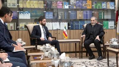 دیدار ولایتی و معاون وزیر خارجه ارمنستان: هشدار ایران به کشورهای فرامنطقه‌ای