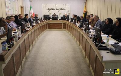 توزیع برق تهران بزرگ پیشرو در مدیریت سبز و ارتقاء فرهنگ سازمانی