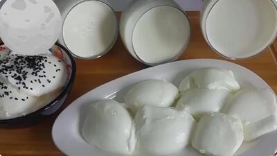 طرز تهیه ماست سفت قالبی / راز ماست سفت و خوشمزه که قاشق توش گیر می کنه