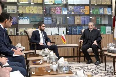 ولایتی در دیدار معاون وزیر خارجه ارمنستان: هر تحولی در نزدیک مرزهایمان  را به دقت زیر نظر داریم و هر اقدامی که امنیت ملی ما را مخدوش کند پاسخی درخور خواهد یافت