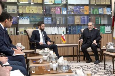 دیدار ولایتی با معاون وزیر خارجه ارمنستان