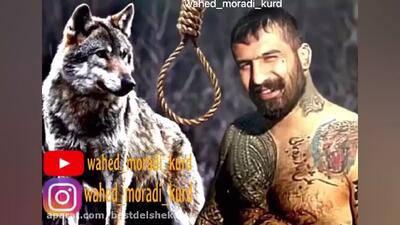 قشنگ ترین آهنگ مازندرانی |  اهنگ جدید مازندرانی خواننده