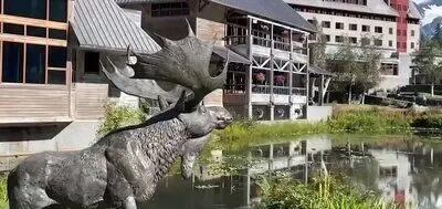 هتل لاکچری که محل قرار ترامپ و پوتین شد + فیلم