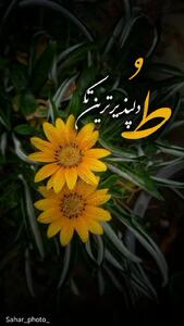  فال روزانه 22 مرداد ماه