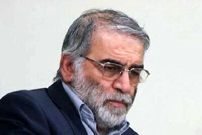 پشت پرده ماجرای ترور شهید فخری زاده فاش شد / چه کسانی شنود تلفنی شدند؟