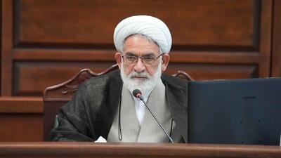 رئیس دیوان عالی کشور: پیاده‌روی اربعین فراتر از یک حرکت جمعی است