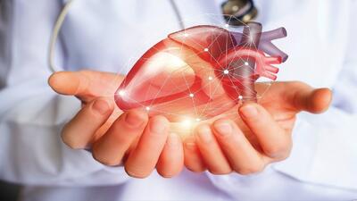 چربی خون و سلامت قلب: آنچه باید قبل از فاجعه بدانید