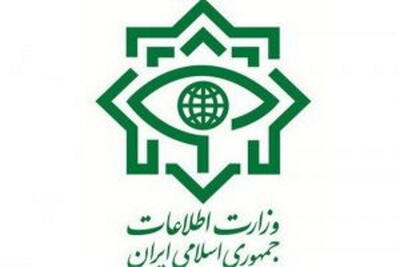 روایت متفاوت یک مقام امنیتی از نقش ریزپرنده‌ها در جنگ ۱۲ روزه: فقط ۴ مورد از داخل بلند شد  |  انصاف نیوز