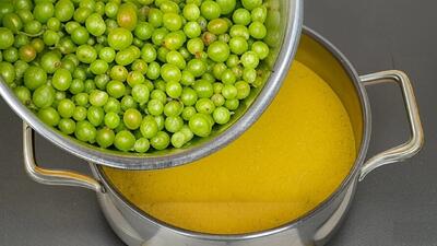 طرز تهیه آبغوره خانگی برای درمان کبد چرب / راحت ترین راه درمان