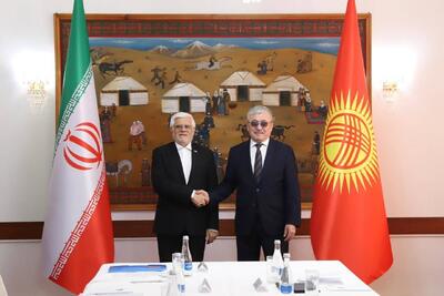 عارف: سطح روابط اقتصادی تهران-بیشکک متناسب با روابط فرهنگی تاریخی افزایش یابد