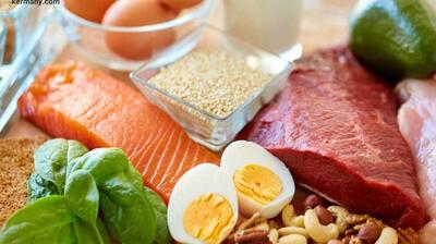 میگنا - مدت زمان هضم مواد غذایی مختلف در بدن