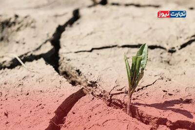 اینفوگرافی | خاورمیانه درگیر بحران کم آبی