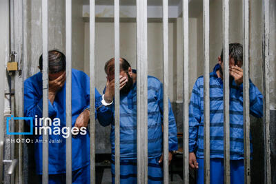 دستگیری 7 سارق در نارمک تهران