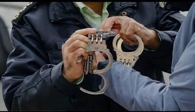 دستگیری ۲ سارق حرفه‌ای با ۲۲ فقره سرقت در قزوین