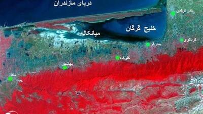 روایت میدانی خبرنگار تسنیم از حال ناخوش ‌تالاب میانکاله/‌ اراده‌ای برای نجات نیست!