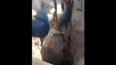 اسب گرفتار در چاه ۱۸ متری هریس آزاد شد (فیلم)