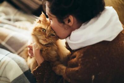 نگهداری از گربه و ابتلا به یک بیماری روانی