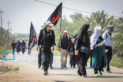 ۳۶۸ میلیارد دینار عراق فروخته شد/بیش از ۲ میلیون زائر اربعین ارز گرفتند
