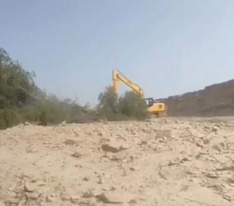 قطع درختان کهور در پارسیان؛ منابع طبیعی: هیچ مجوزی صادر نشده