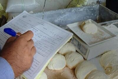 تشکیل ۵۰۰ پرونده تخلف نانوایی در هرمزگان از اول امسال