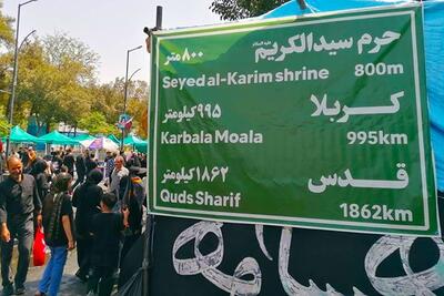 اربعین جاماندگان و هم‌صدایی ۱۶ میلیون ایرانی با راهیان کربلا