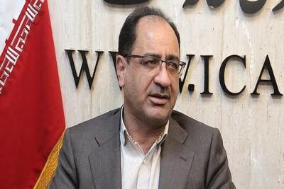 نماینده مجلس: نفوذ خودروسازان مانع اجرای قانون است