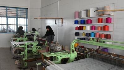 پرداخت ۸۴۹ فقره تسهیلات اشتغال به مددجویان بهزیستی