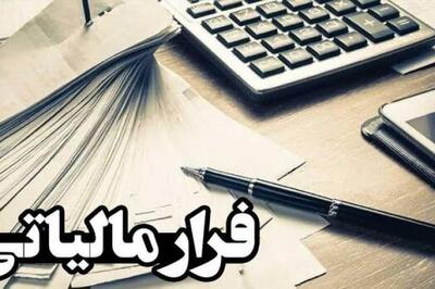 رئیس مرکز مبارزه با فرار مالیاتی و پول‌شویی : ۶ همت از محل کتمان درآمد وصول شد