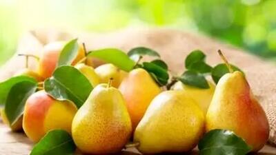 خواص فوق العاده این میوه تابستانی برای لاغری | اقتصاد24